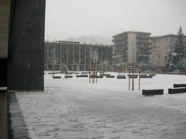 Lugano Biblioteca Universitaria 018