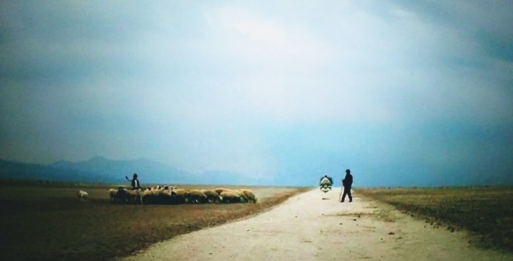 20181206_000102_2_resized