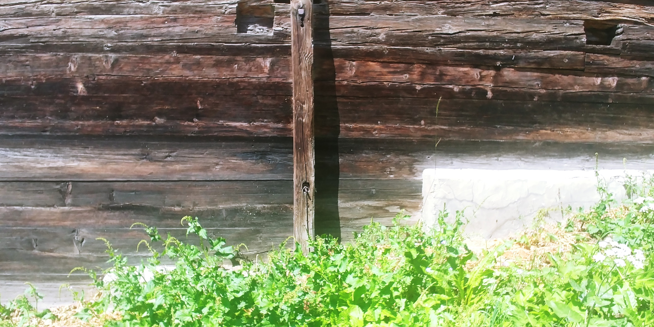 20200731_122931_resized