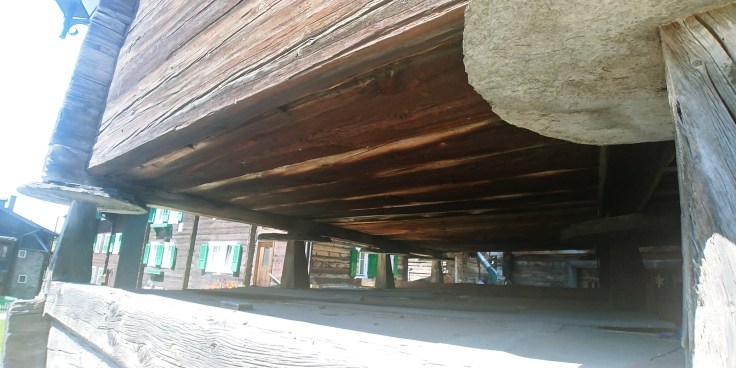 20200731_123056_HDR_resized