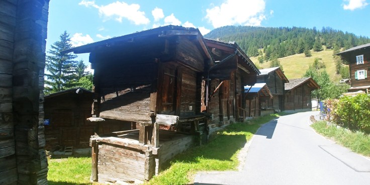 20200731_123822_HDR_resized