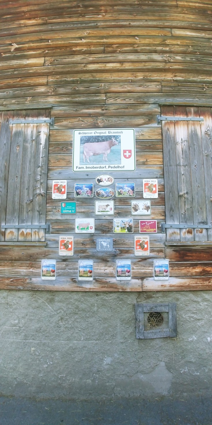 20200731_123957_resized