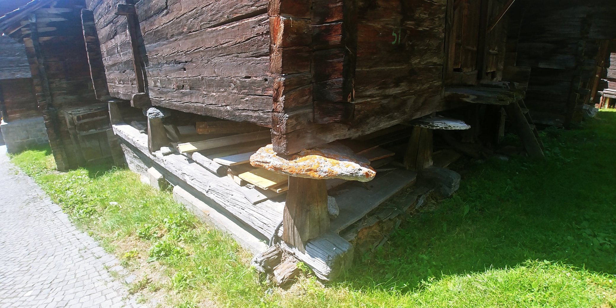 20200731_124431_HDR_resized