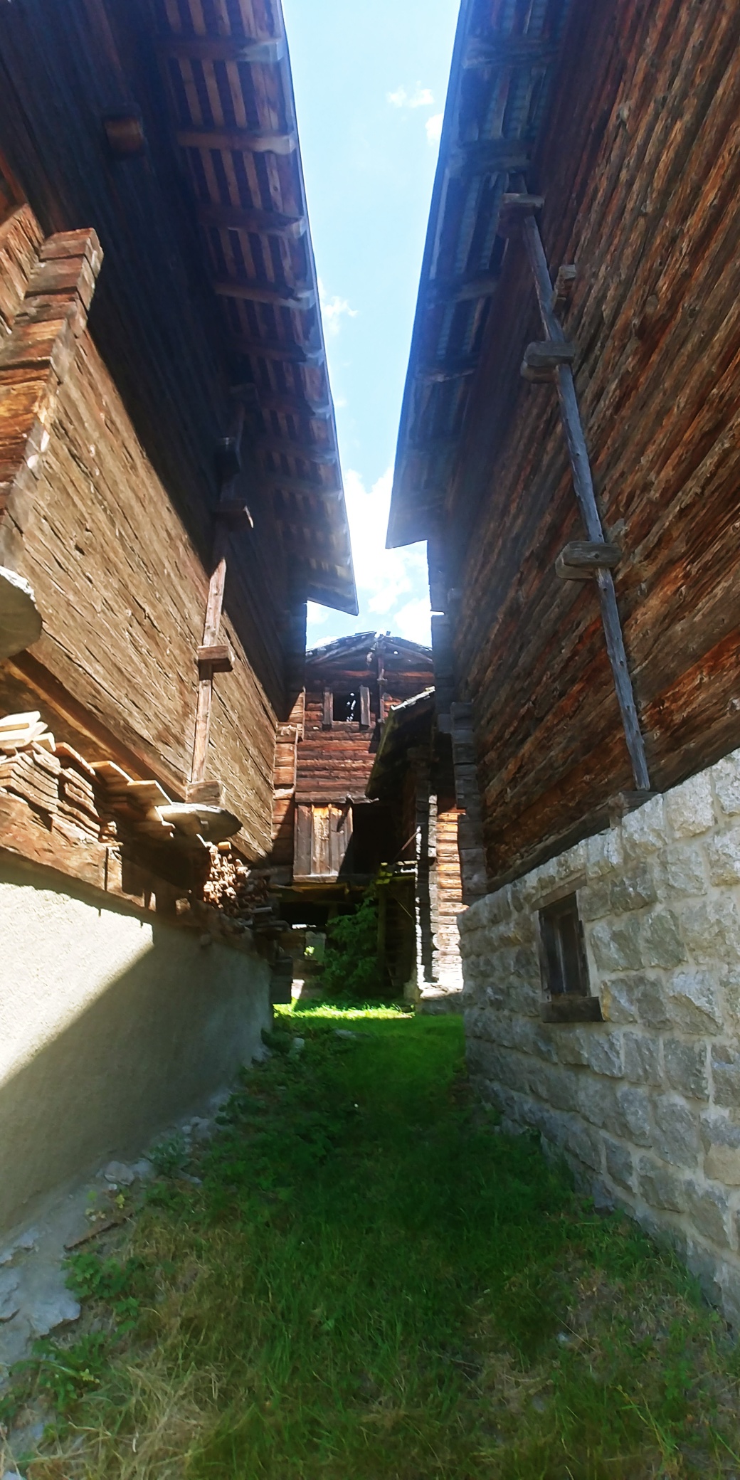 20200731_125117_HDR_resized