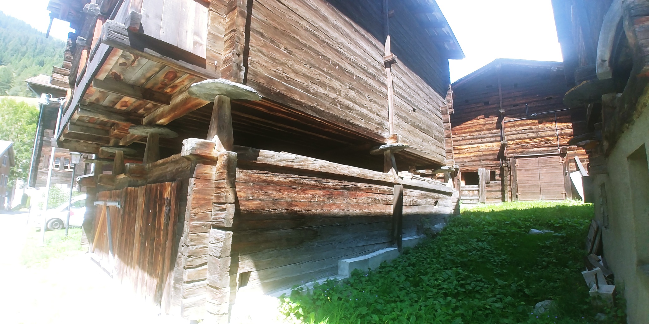 20200731_125132_resized