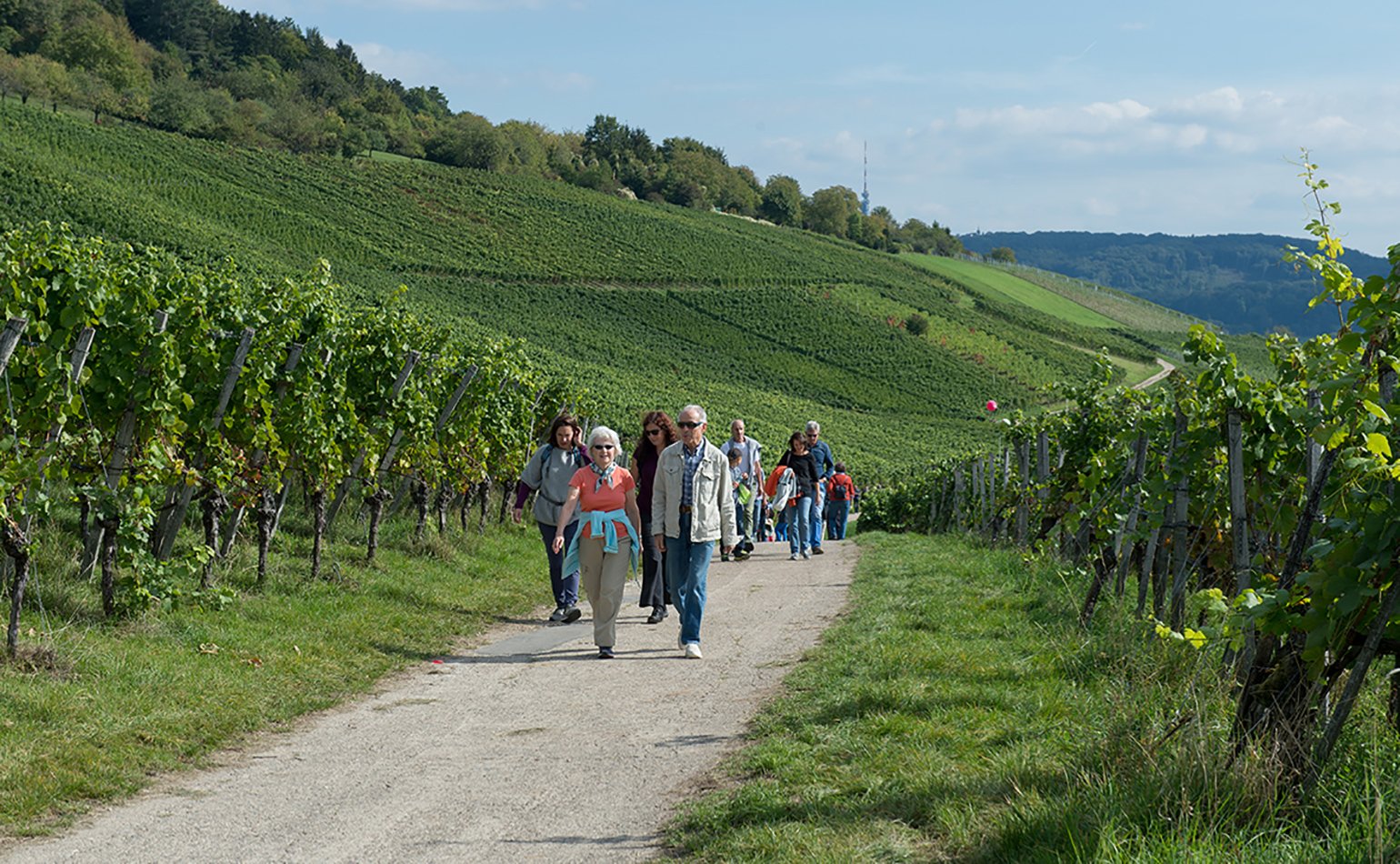 _24_Stops_-040.2e16d0ba.fill-1540x950