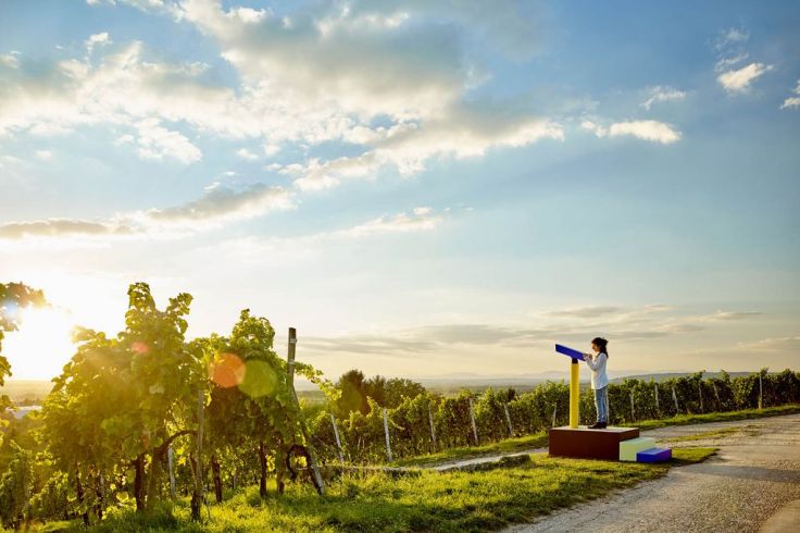 csm_24Stops_3499e7967a